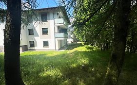 Apartament Podedworze